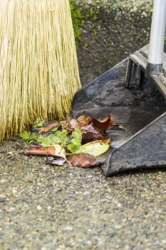 Vertical photo of broom and dusk pan gathering weeds on sidewalk with focus on leaves