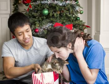 Pet cat comes out of gift bag with family and Christmas tree in background