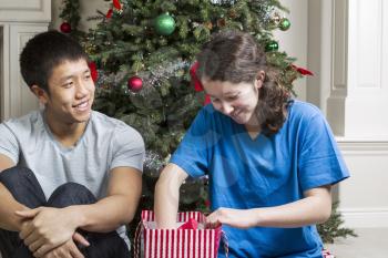 Brother gives gift to sister on Christmas day with tree in background