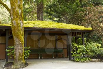 Moss Hut with benches and drinking fountain surrounded by trees