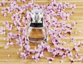 Perfume bottle with cap on in middle of cherry blossom on bamboo background
