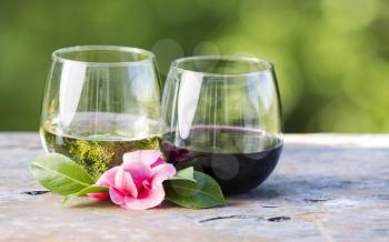 Horizontal photo of red and white wine in glasses with late spring pink flower on bright green background