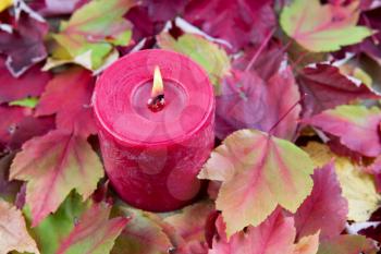 Horizontal photo of seasonal red candle surrounded by autumn leaves 