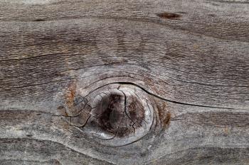 Closeup image of rustic wood with large knot