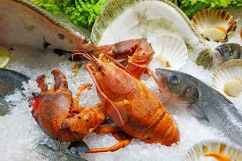 Close up image of fresh seafood on ice. Shallow depth of field with the focus on the lobster.