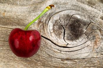 Close up of a single ripe large black cherry on rustic wood.