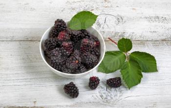 Close up of fresh blackberries, inside and outside of bowl, on rustic white wooden table. 