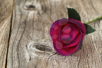 Close up of red wooden rose on rustic wood. Selective focus on front part of rose. 
