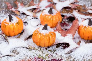 Autumn pumpkins with snow and leaves. Selective focus on front pumpkin. 