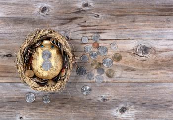 Flat view of nest egg with piggy bank and coin money on rustic wooden background with copy space