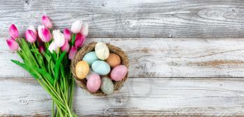 Bouquet of tulips next to a nest filled with colorful eggs on rustic white wooden boards for Easter Background 