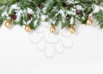 Christmas snowy tree branches and gold ornaments on white background