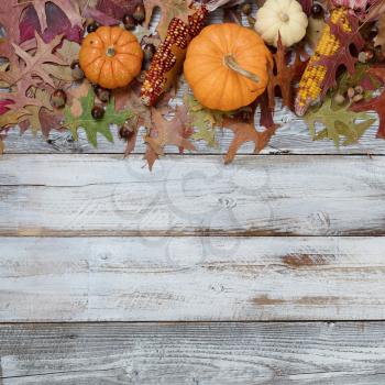 Seasonal fall decorations in top border on rustic white wooden boards 