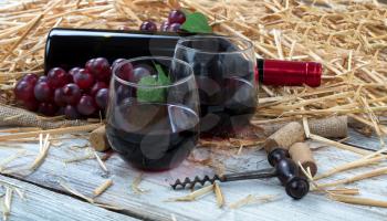 Close up view of drinking glasses filled with red wine, bottle and grapes plus corkscrew with straw and burlap on white rustic boards 