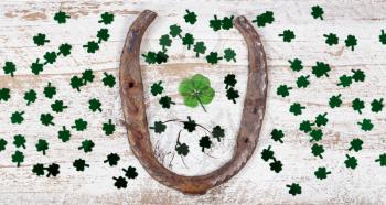 Real four leaf clover in the middle of rusty horseshoe and shiny clovers on rustic wooden boards in overhead view  