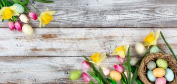 Spring season tulips and daffodils with colorful eggs on rustic wooden boards for Easter holiday background 