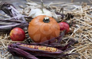 Front view of Autumn decorations consisting of pumpkin, acorns, gourd, corn and pine cones on rustic wood with straw for Thanksgiving or Halloween season