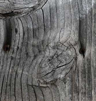 Weathered wood texture background in filled frame format
