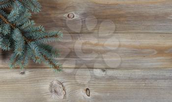A Christmas tree branch on warm rustic wooden planks for the holiday concepts