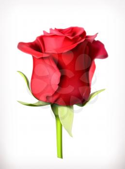 Red rose vector illustration