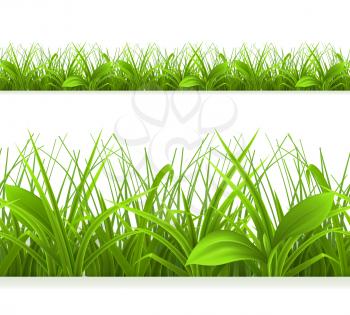 Spring green grass, seamless border. Detailed vector illustration