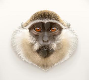 Monkey head, realistic vector illustration