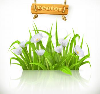 Spring grass, 3d vector icon