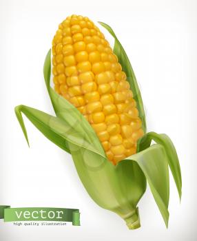 Corn cob. 3d vector icon