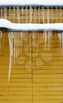 Icicles on the yellow background wall, front view, close-up.