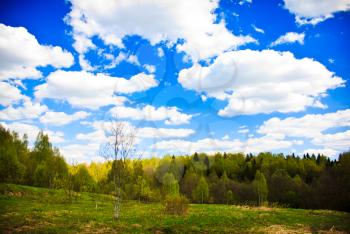 Spring forest and blue sky with white clouds