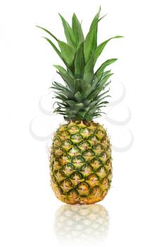 ripe whole pineapple isolated on white background
