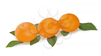 fresh tangerines with green leaves isolated on white background