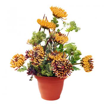 Royalty Free Photo of a Bouquet of Chrysanthemums in a Vase