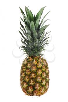 Royalty Free Photo of a Pineapple