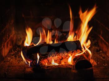 Fireplace with birch firewood and flame. Closeup.