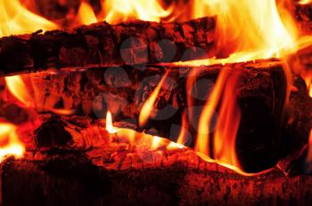 Fireplace with birch firewood and flame. Closeup.