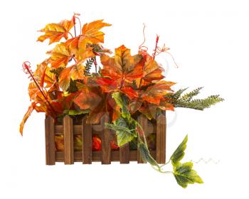 Autumn composition from artificial leaves in wooden box isolated on white background.