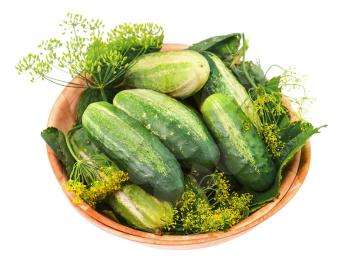 Cucumbers and dill leaves still life in wooden bowl isolated on white background. Closeup.