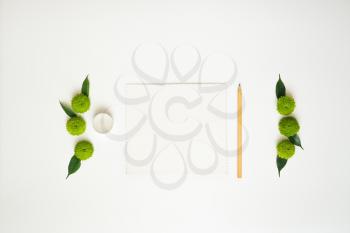 Paper, pencil and candle with decoration of chrysanthemum flowers and ficus leaves on white background. Overhead view. Flat lay.
