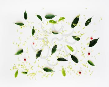 Pattern with petals of chrysanthemum flowers, ficus leaves and ripe rowan on white background. Overhead view. Flat lay.
