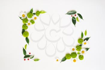 Wreath frame from chamomile and chrysanthemum flowers, ficus leaves and ripe rowan on white background. Overhead view. Flat lay.
