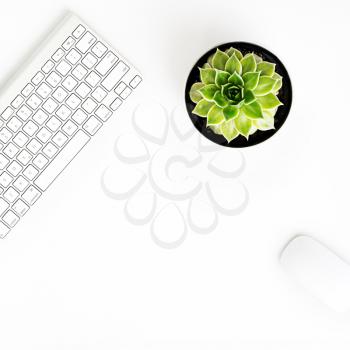 White office desk table with wireless aluminum keyboard, mouse and succulent flower in pot. Top view with copy space. Flat lay.