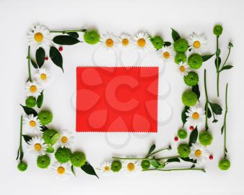 Red paper with wreath frame from chamomile and chrysanthemum flowers, ficus leaves and ripe rowan on white background. Overhead view. Flat lay.
