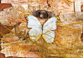 Abstract composition of butterflies, birch bark and straw
