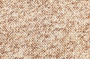 Beige - brown carpet texture for use as background. Closeup.