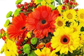 Colorful bouquet from gerbera flowers isolated on white background. Closeup.