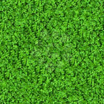 Green Meadow Grass. Seamless Tileable Texture.