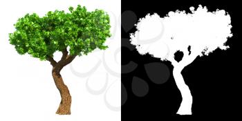 Decorative Green Tree Isolated on White Background with Detail Raster Mask.