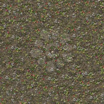 Steppe Surface with Dry Grass on Green and Red Plant. Seamless Texture.