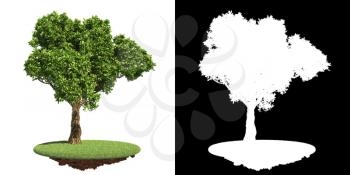 Green Tree on Green Grass Isolated on White Background with Detail Raster Mask.